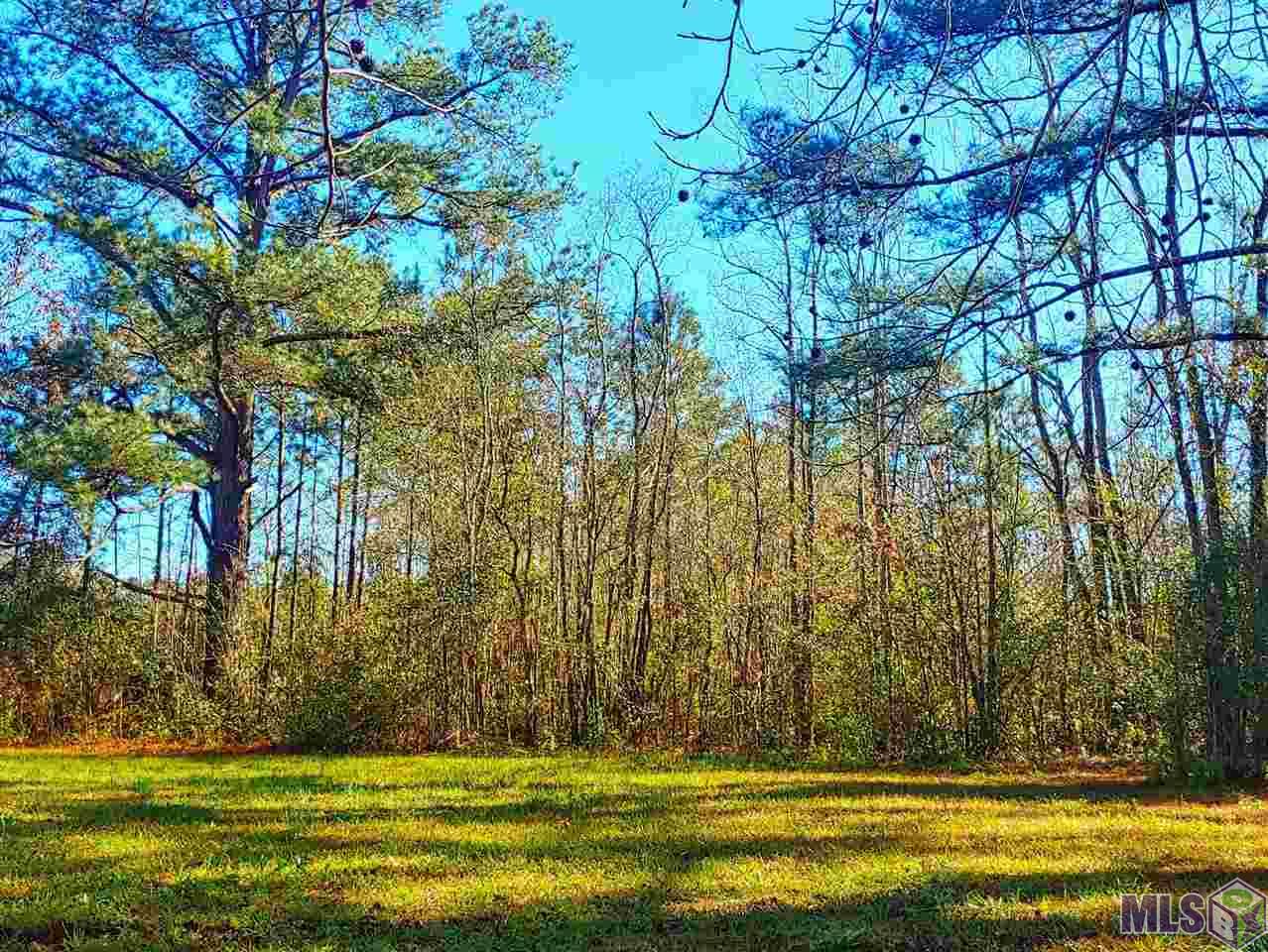 10640 Arnold Road Denham Springs, LA 70726 - Photo 5 of 11 Serenity