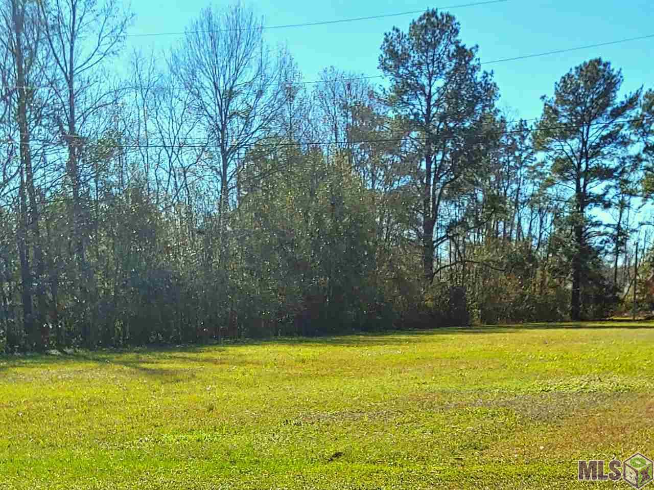 10640 Arnold Road Denham Springs, LA 70726 - Photo 8 of 11 More pretty trees