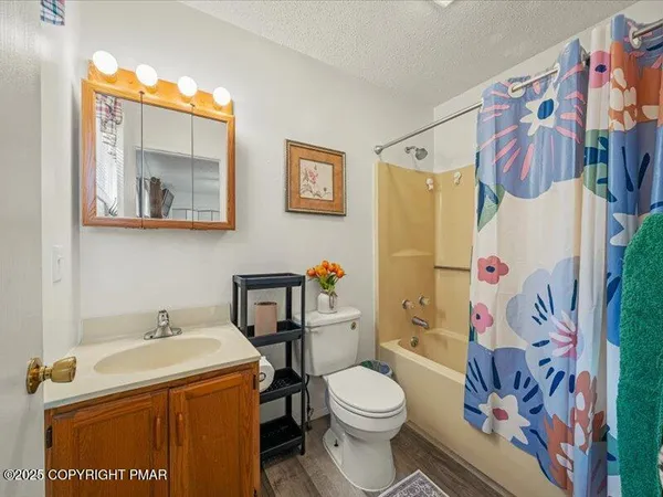 a bathroom with a sink a toilet and shower curtain
