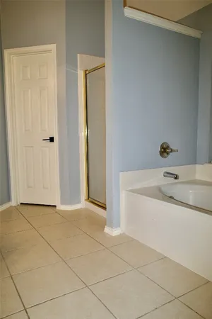a bathroom with a sink a mirror and a bathtub