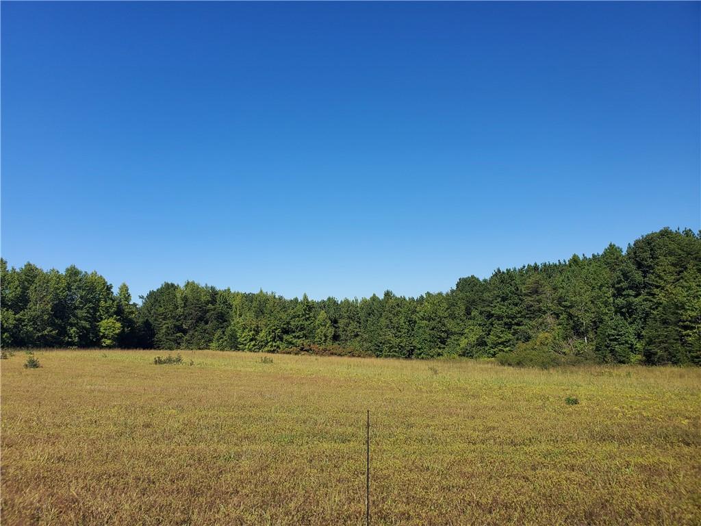 3170 Mt Laurel Road Clover, VA 24534 - Photo 8 of 28 Gallery Image 8