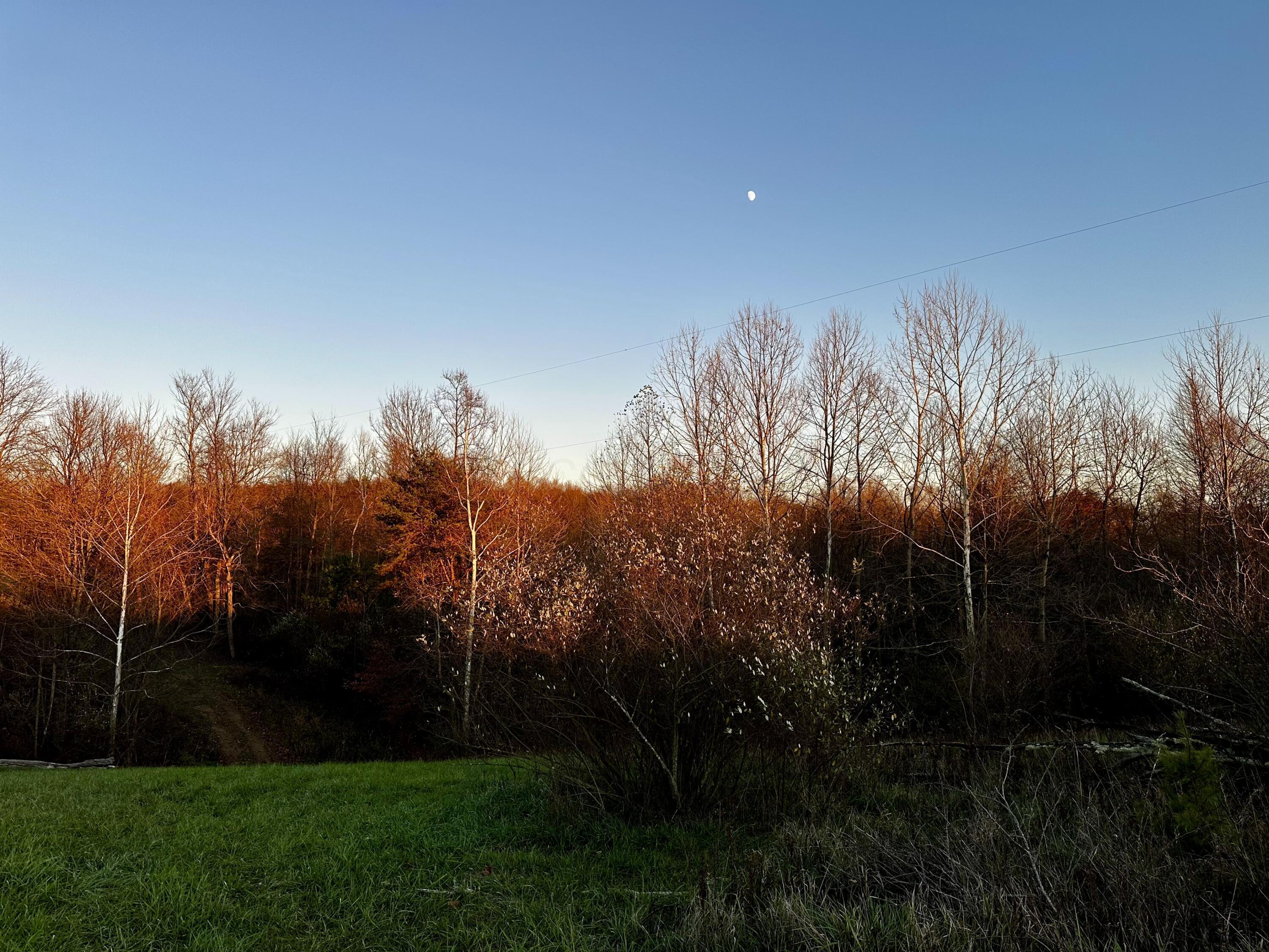 7408 Dutch Ridge Road, Unit TRACT 3 AT DUTCH RIDGE) New Straitsville, OH 43766 - Photo 28 of 29 20241111_220328412_iOS