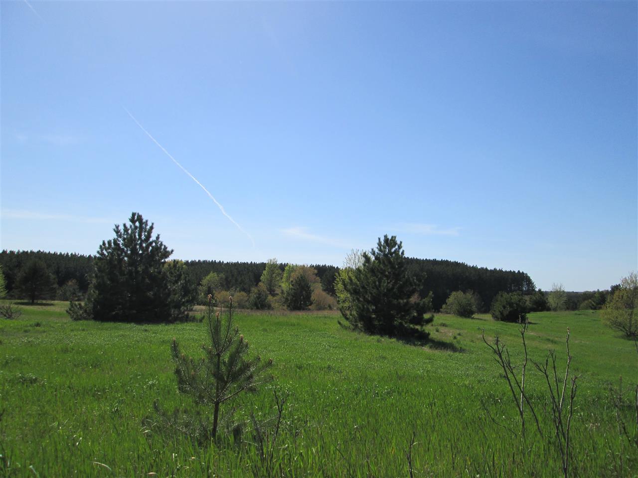 1300 Tyler Road Southeast Kalkaska, MI 49646 - Photo 31 of 63 1785022-30.JPG