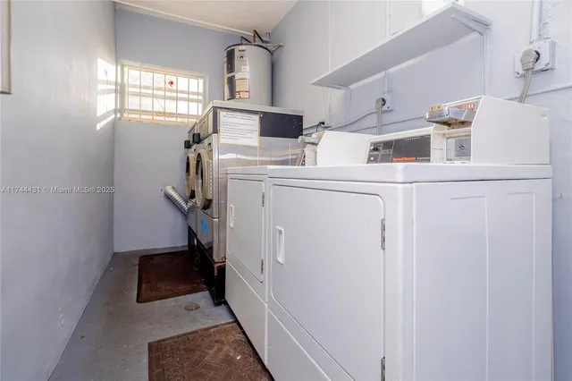 a plant on the side of a park