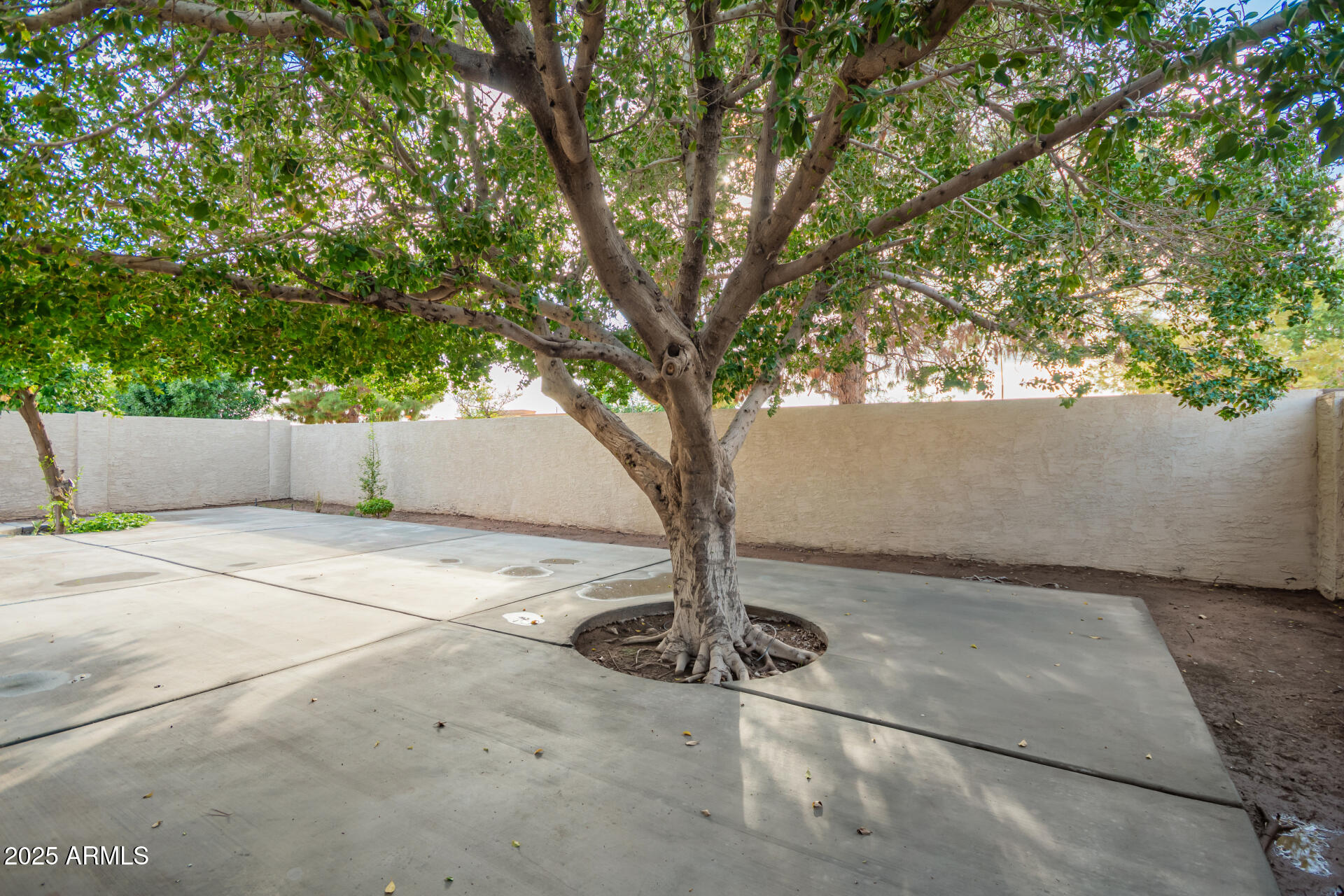 1448 North Saddle Street Gilbert, AZ 85233 - Photo 33 of 34