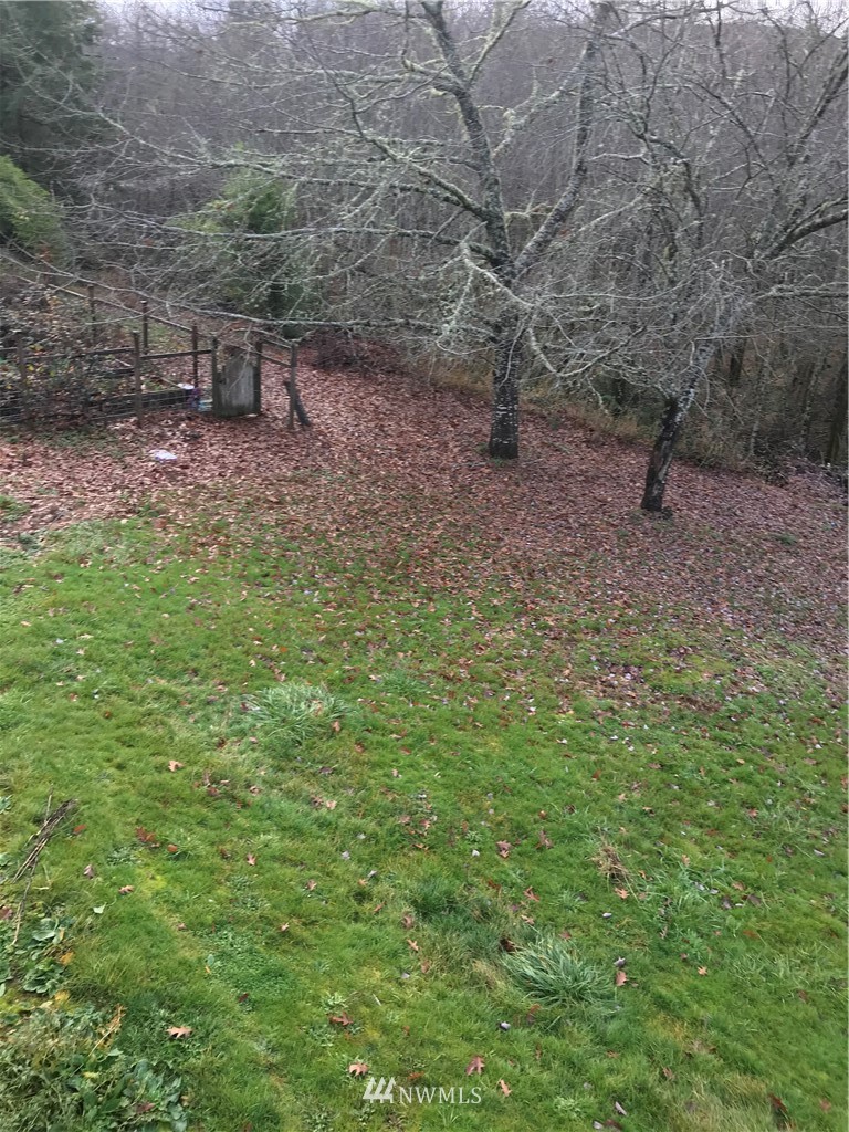 1569 North Fork Road Chehalis, WA 98532 - Photo 5 of 20 a view of a backyard with chairs and a table