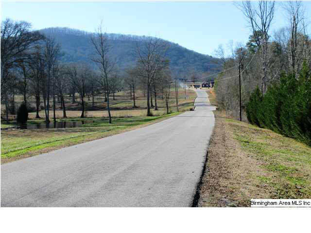 Mount Eagle Lane, Unit 2 Weaver, AL 36277 - Photo 8 of 26