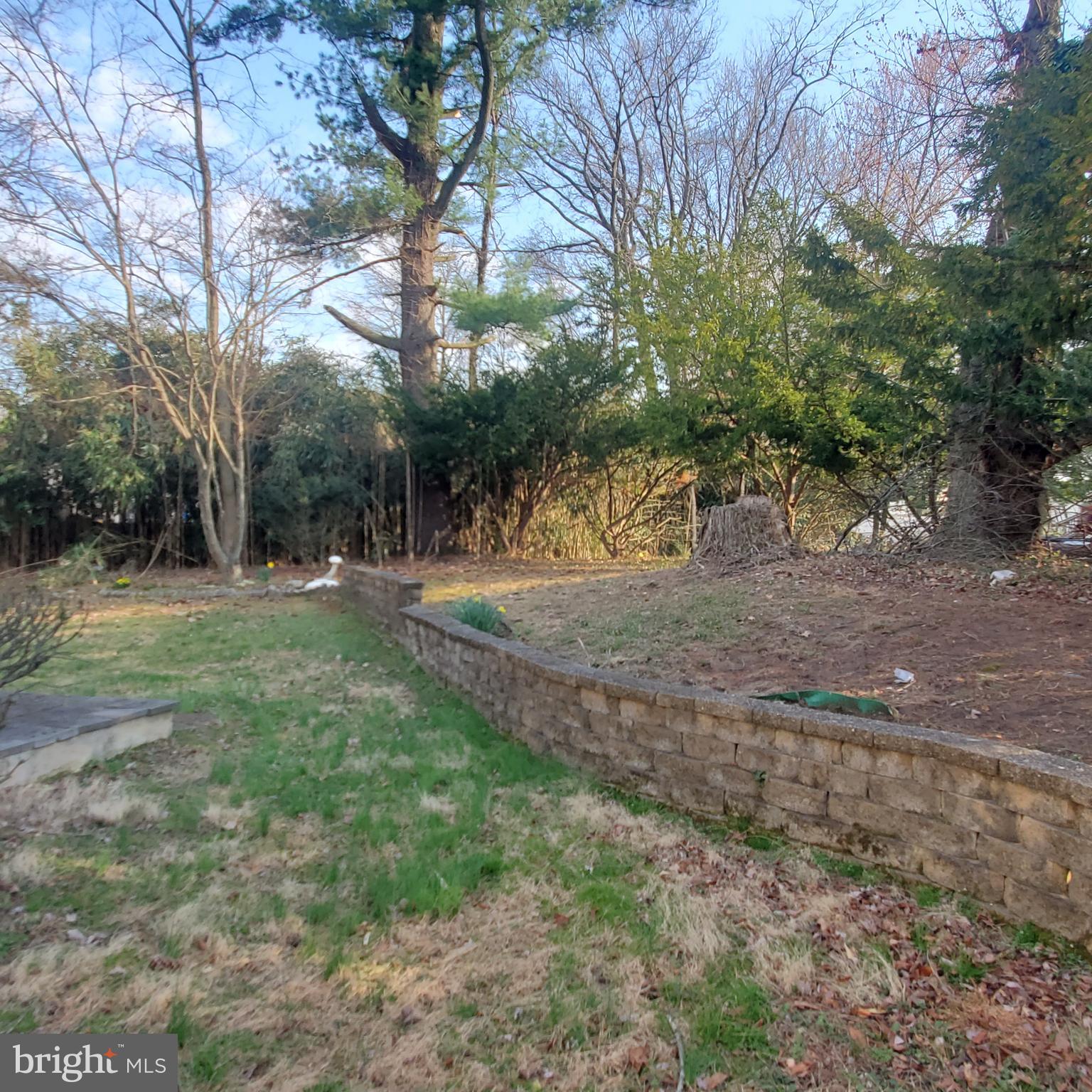 12 Independence Boulevard Lawnside, NJ 08045 - Photo 19 of 19