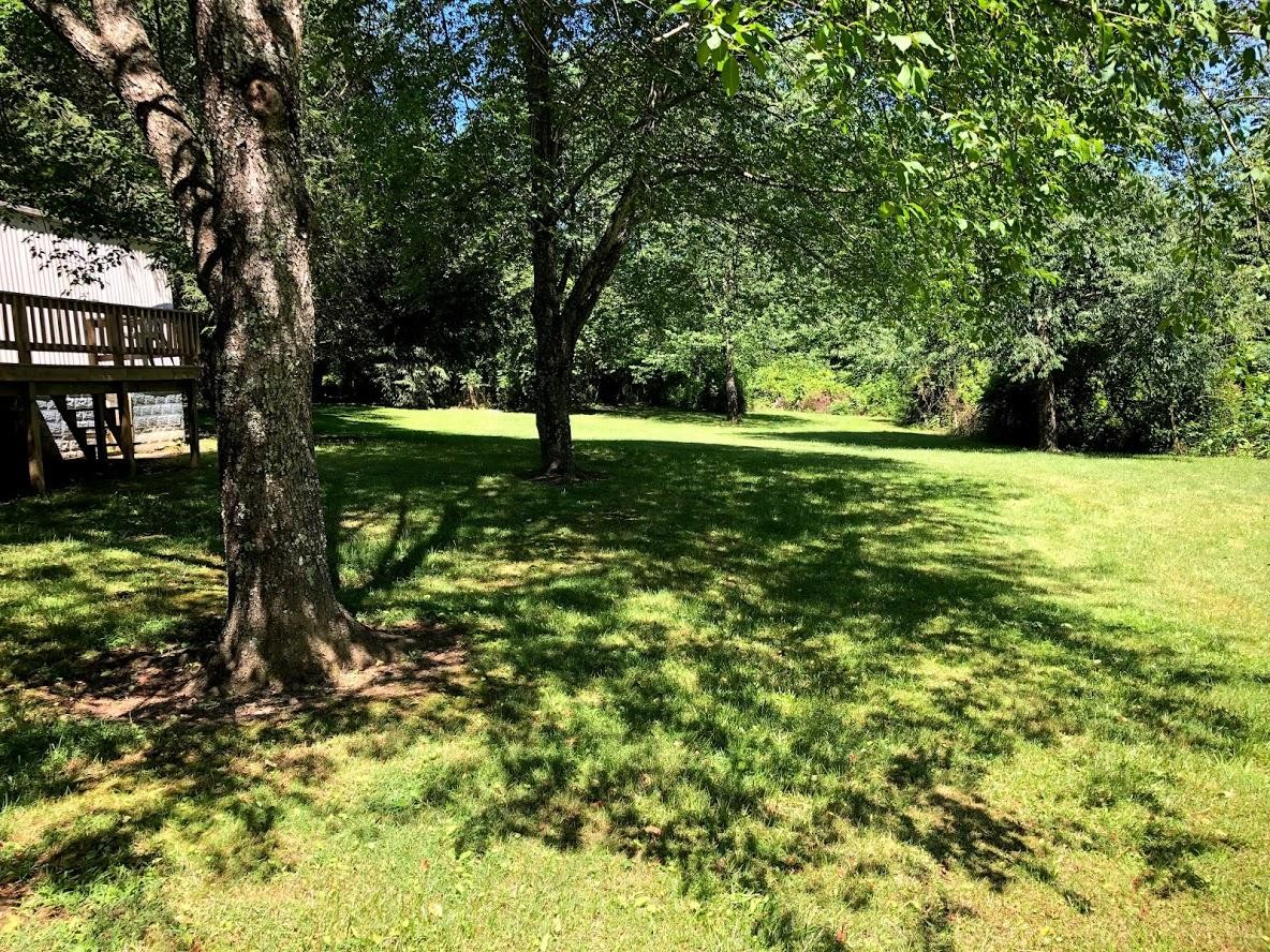 102 Speed Road Jamestown, TN 38556 - Photo 5 of 7 a view of backyard with green space
