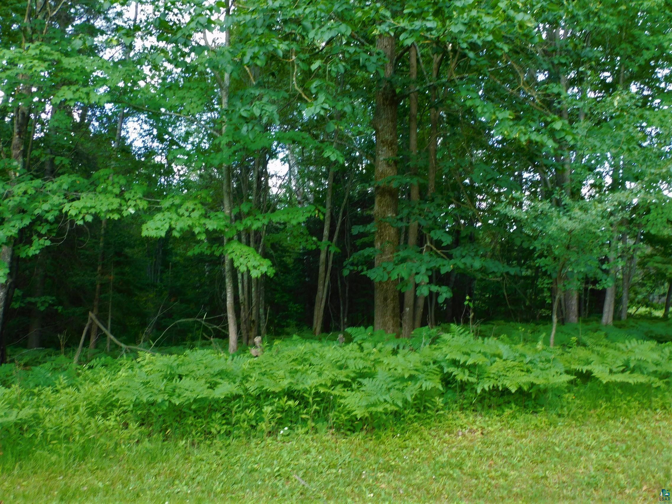 69250 County Line Road Brule, WI 54820 - Photo 7 of 23