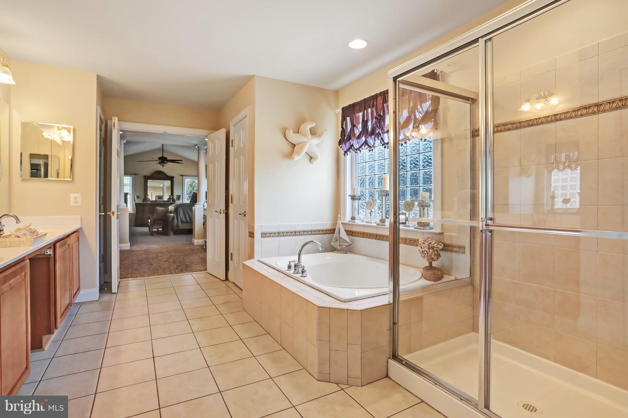8311 Academy Road Ellicott City, MD 21043 - Photo 18 of 30 Bath (Master)