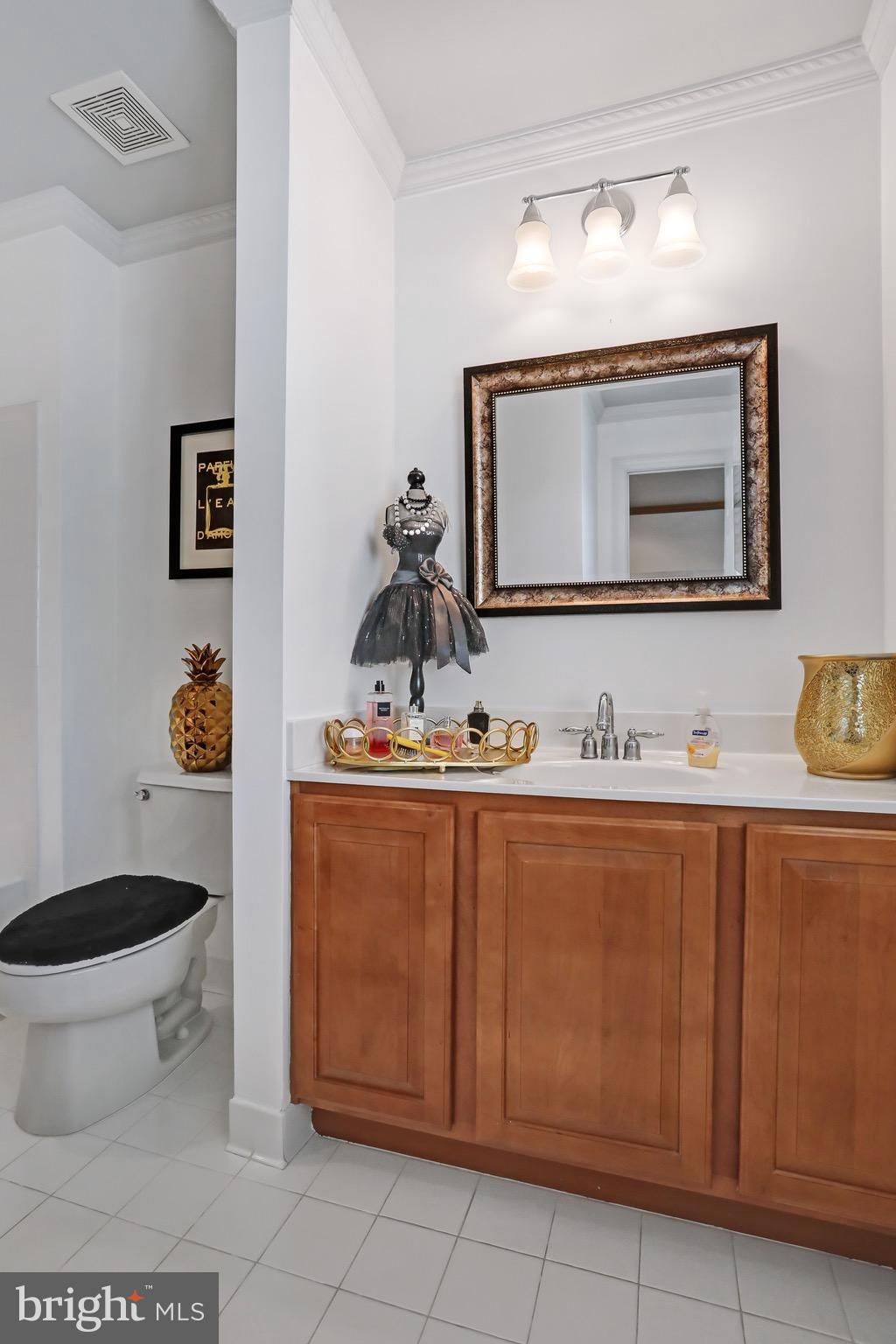 8311 Academy Road Ellicott City, MD 21043 - Photo 22 of 30 Bath
