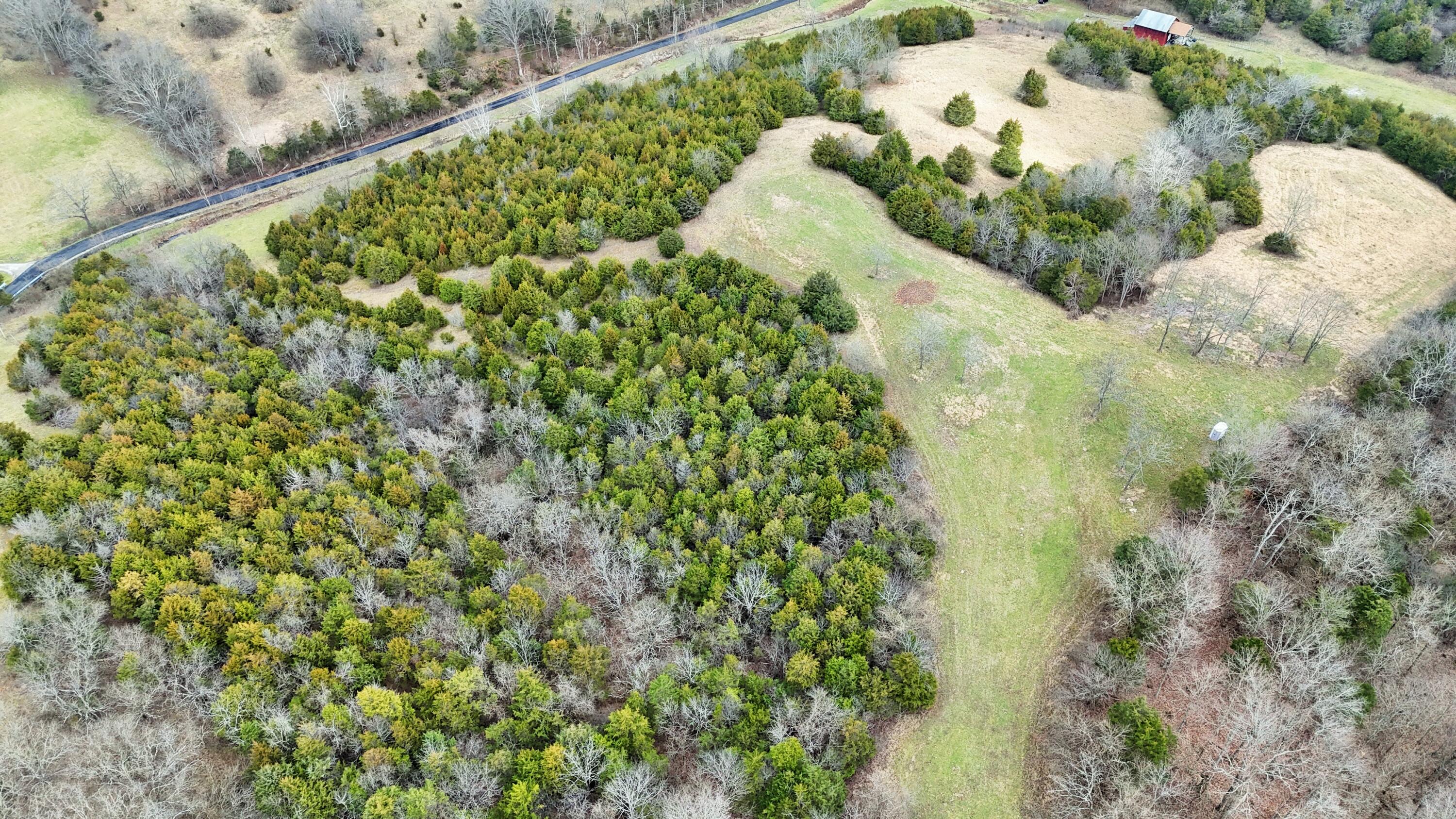 877 Fallis Run Road Harrodsburg, KY 40330 - Photo 23 of 34 DJI_20251227124759_0035_D (2)