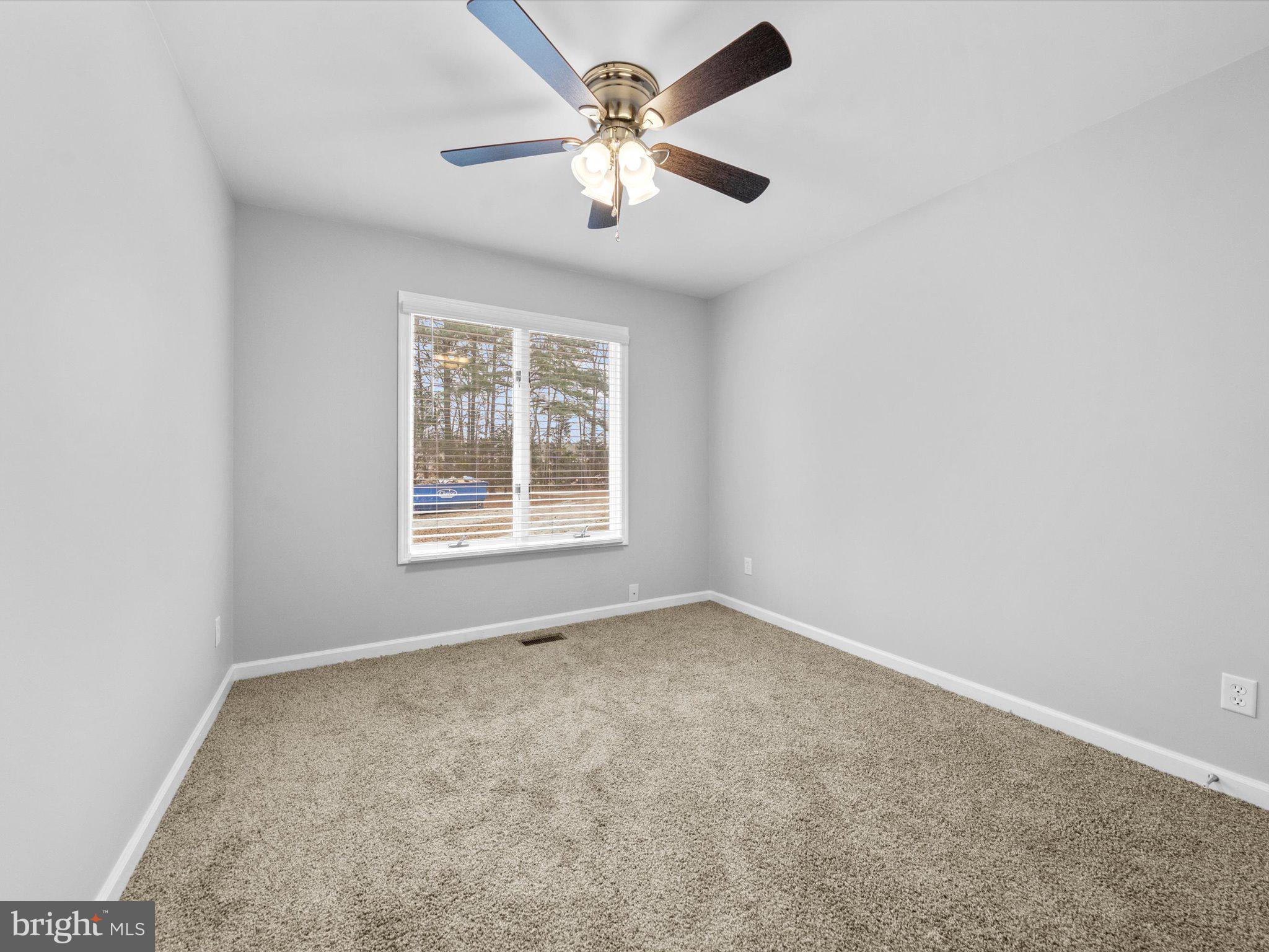 10009 River Road Petersburg, VA 23803 - Photo 36 of 59 an empty room with windows and ceiling fan