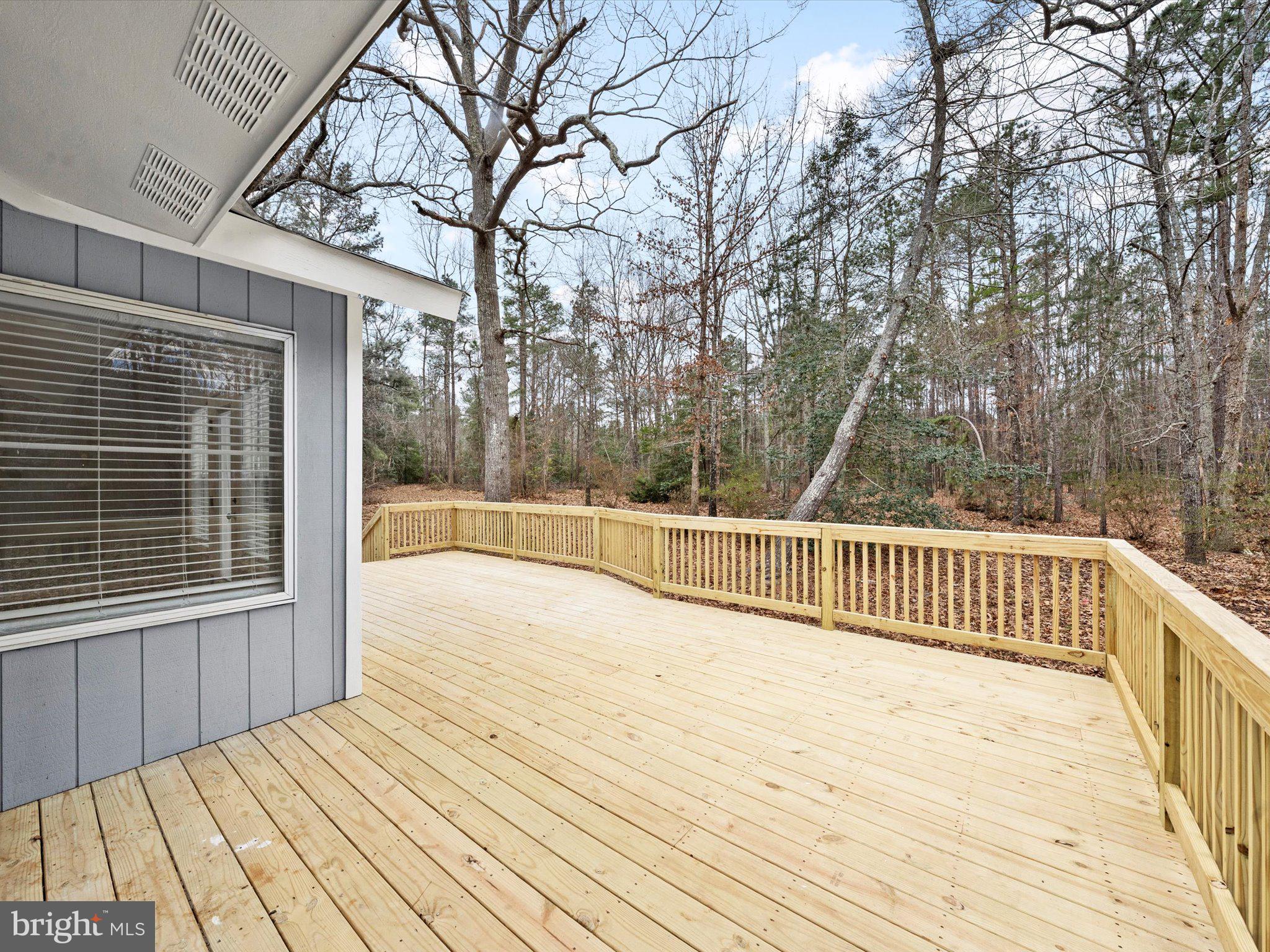 10009 River Road Petersburg, VA 23803 - Photo 43 of 59 a view of a wooden deck