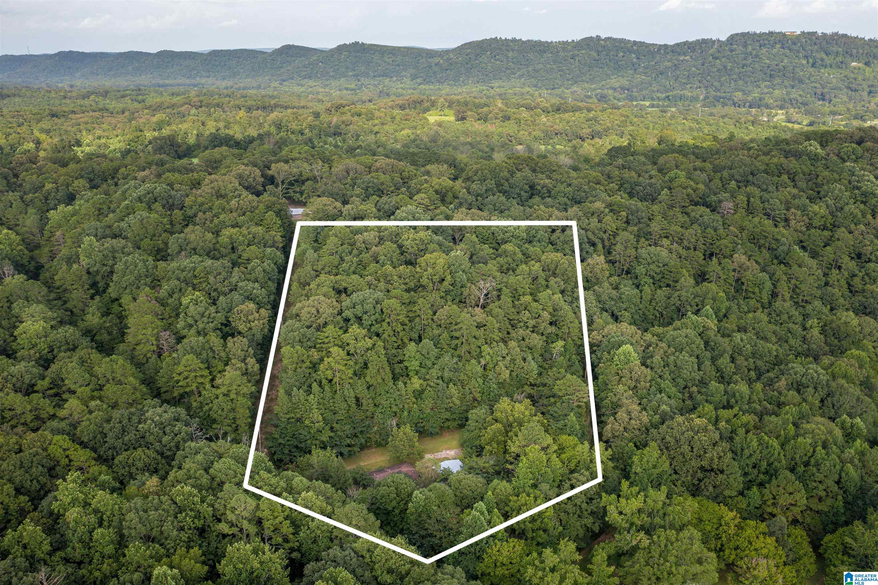 160 Mill Hill Road Attalla, AL 35954 - Photo 3 of 26