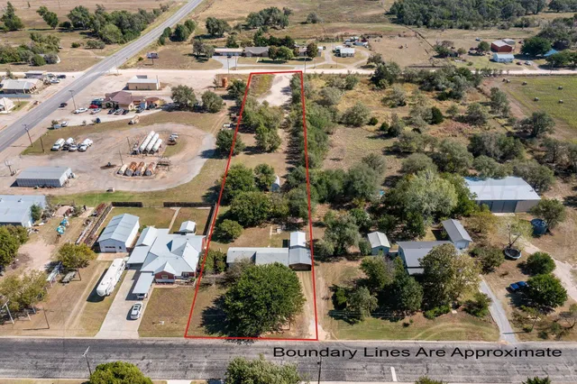 a view of a park with large trees
