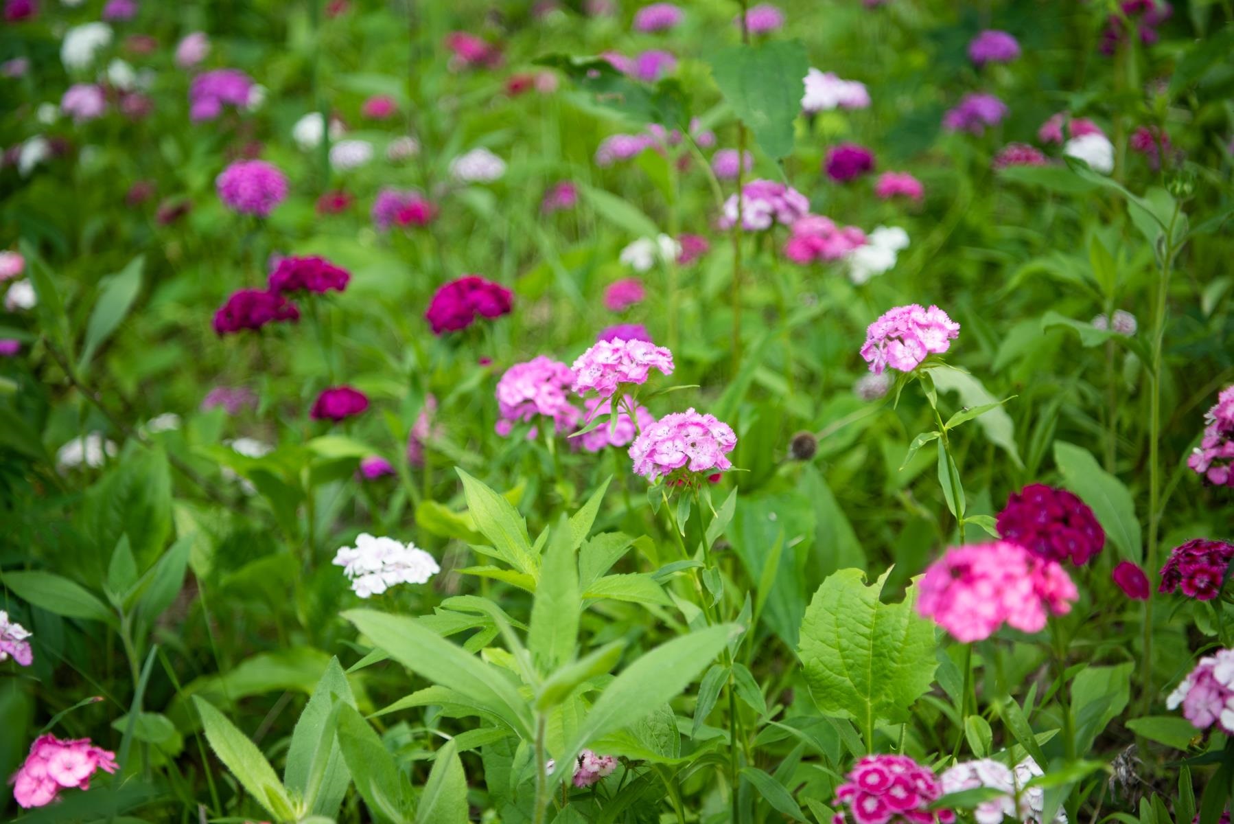92 Barrows Heights Dorset, VT 05251 - Photo 45 of 45