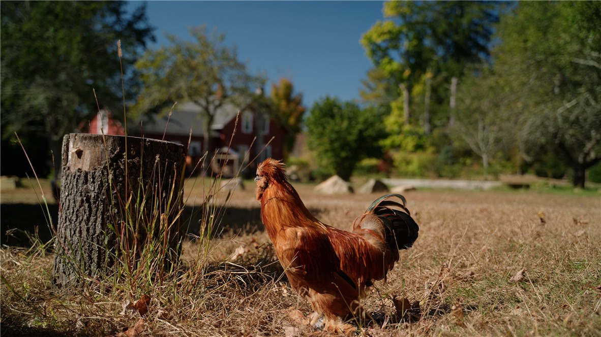 6196 Flat River Road Coventry, RI 02827 - Photo 8 of 49