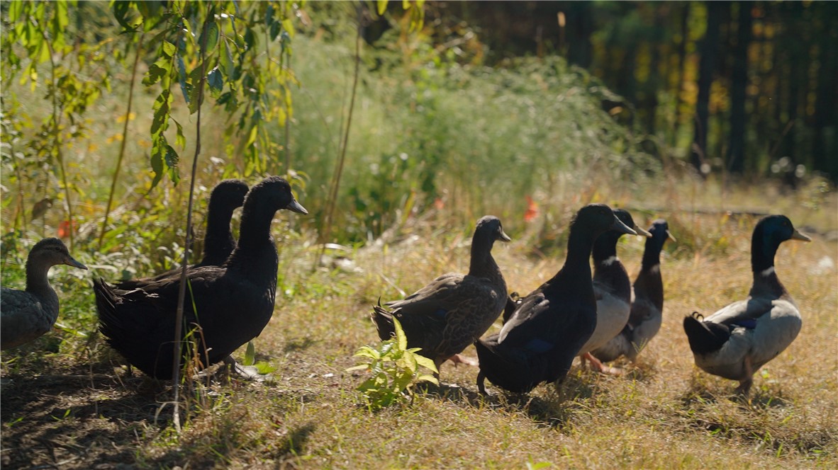 6196 Flat River Road Coventry, RI 02827 - Photo 9 of 49