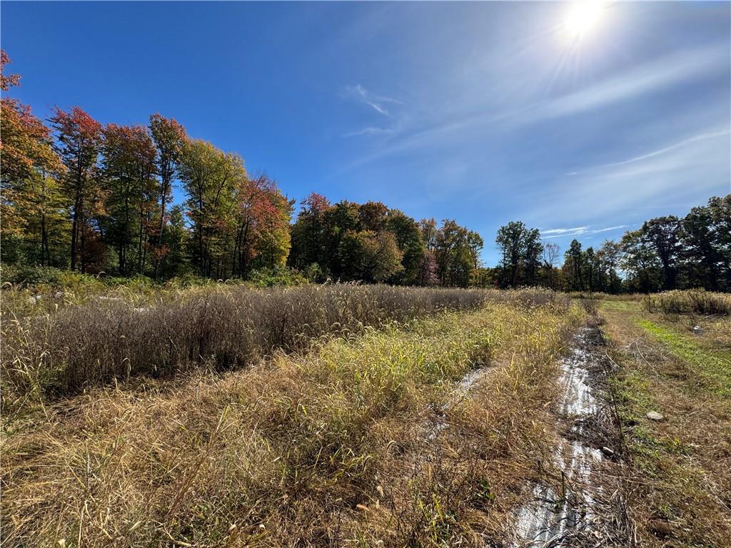 60 Uber Road Grove City, PA 16127 - Photo 3 of 5