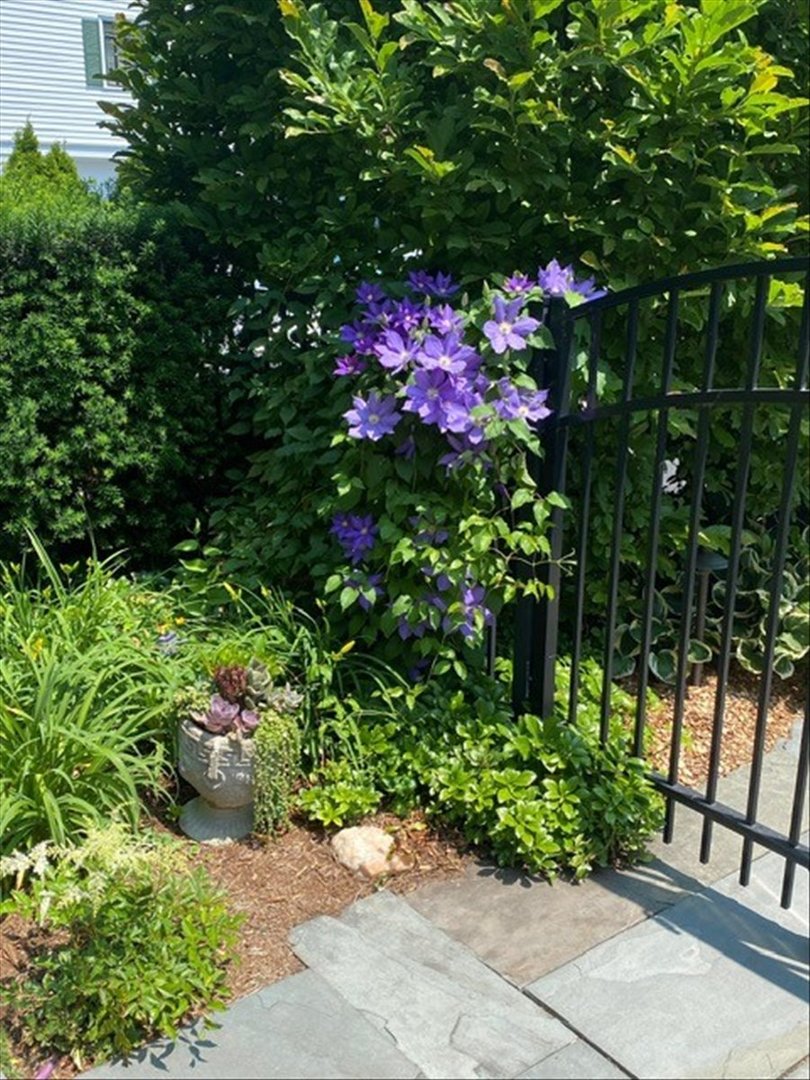 9360 Ridgeway Avenue Evanston, IL 60203 - Photo 85 of 92 Gallery Image 85