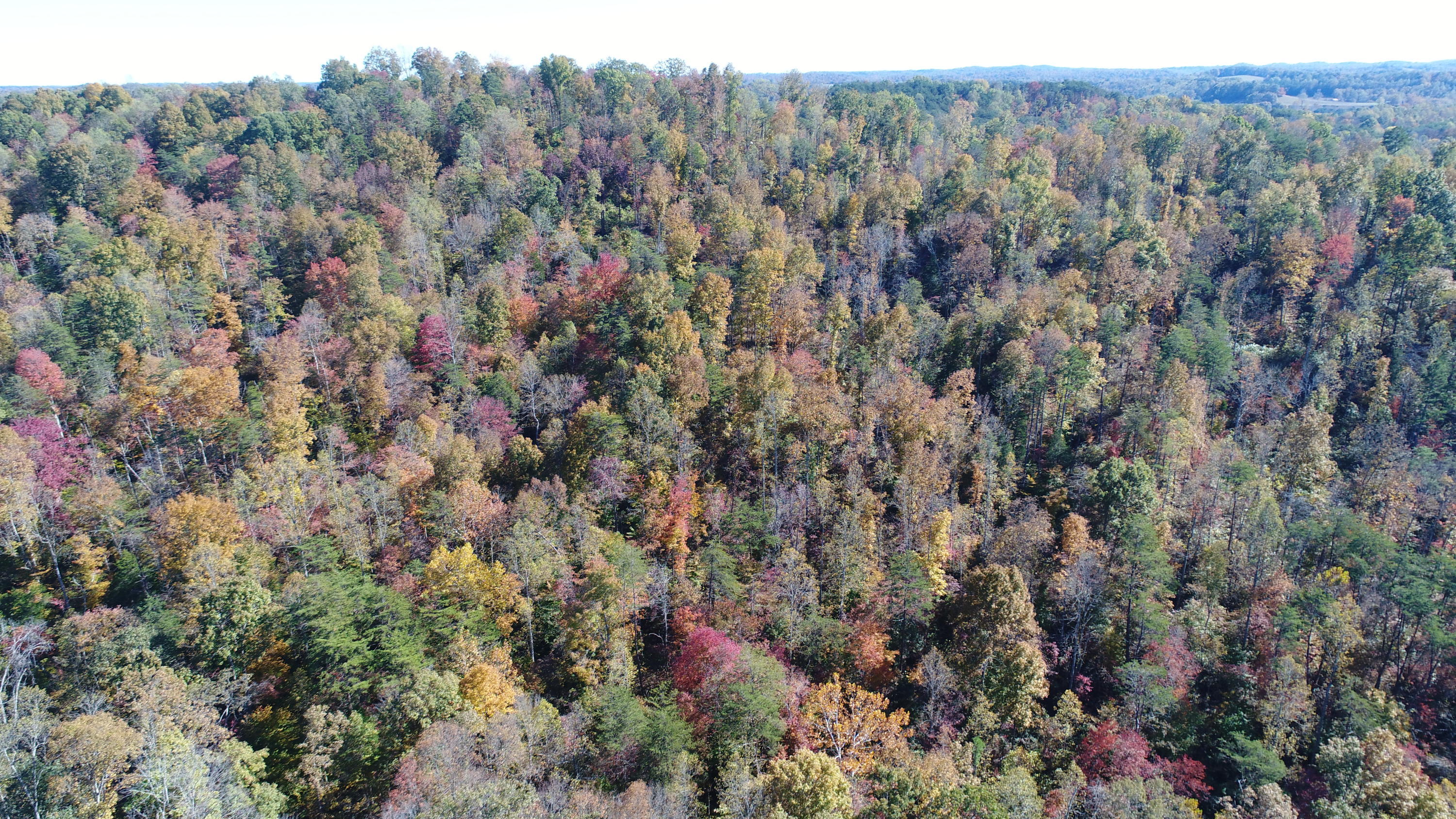 501 Big Sink Road Somerset, KY 42503 - Photo 19 of 38 DJI_0942