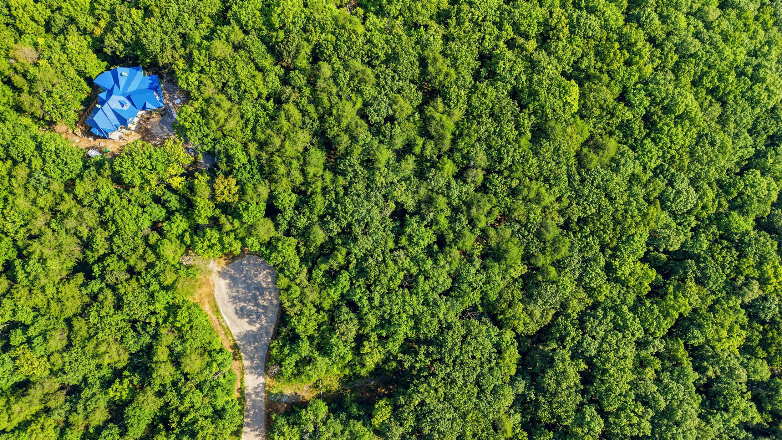 0 Timber View Road, Unit LOT 20 Pikeville, TN 37367 - Photo 15 of 18 Lot 20