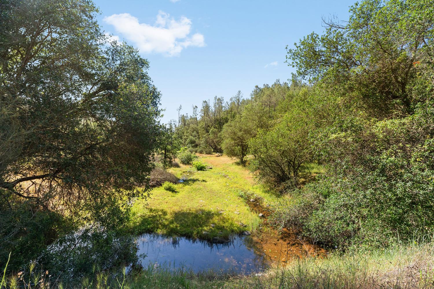 1484 Oregon Gulch Road Oroville, CA 95965 - Photo 39 of 78