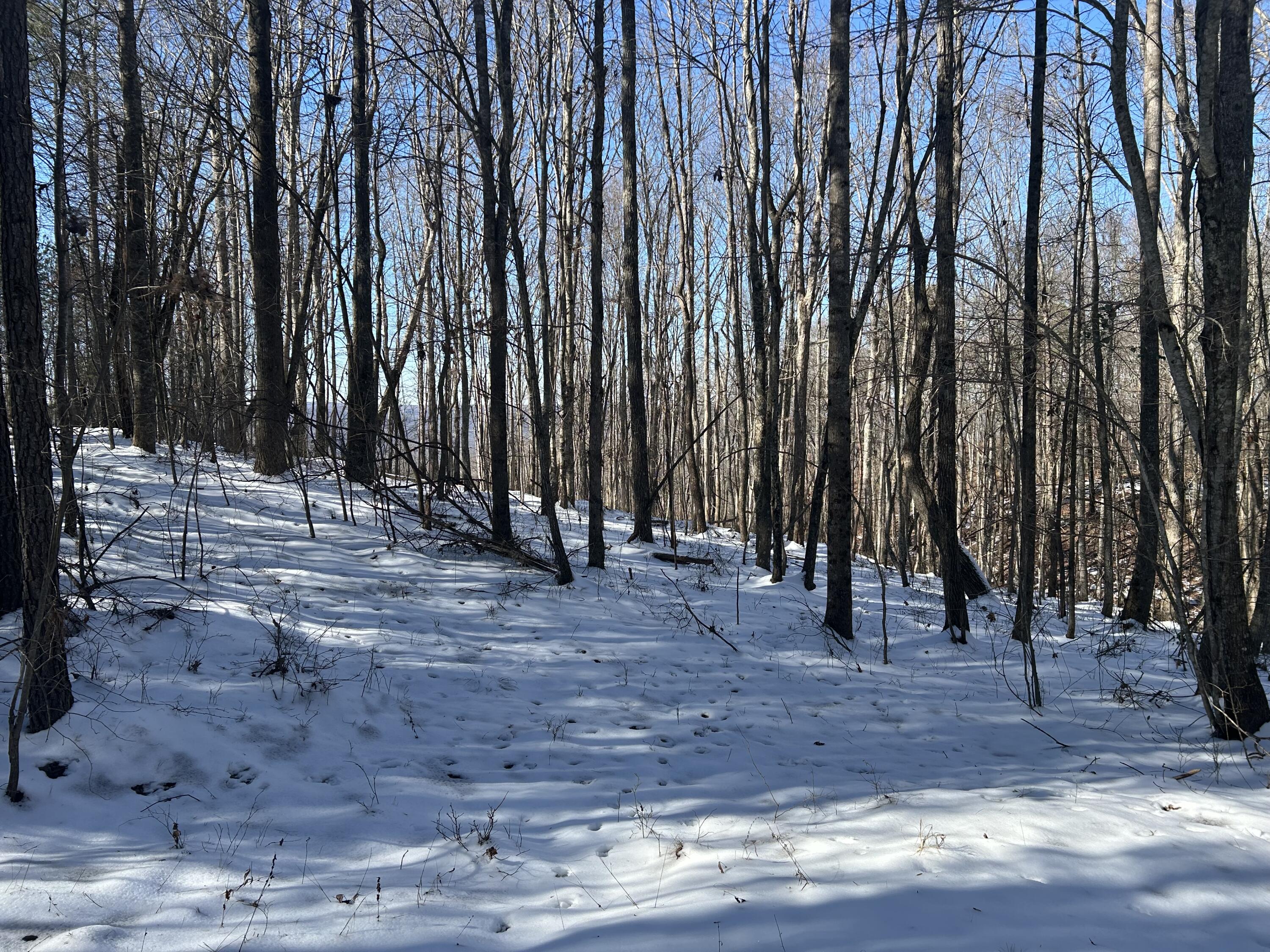 320 Waterwheel Way, Unit JF338 Jasper, TN 37347 - Photo 6 of 25 IMG_7259