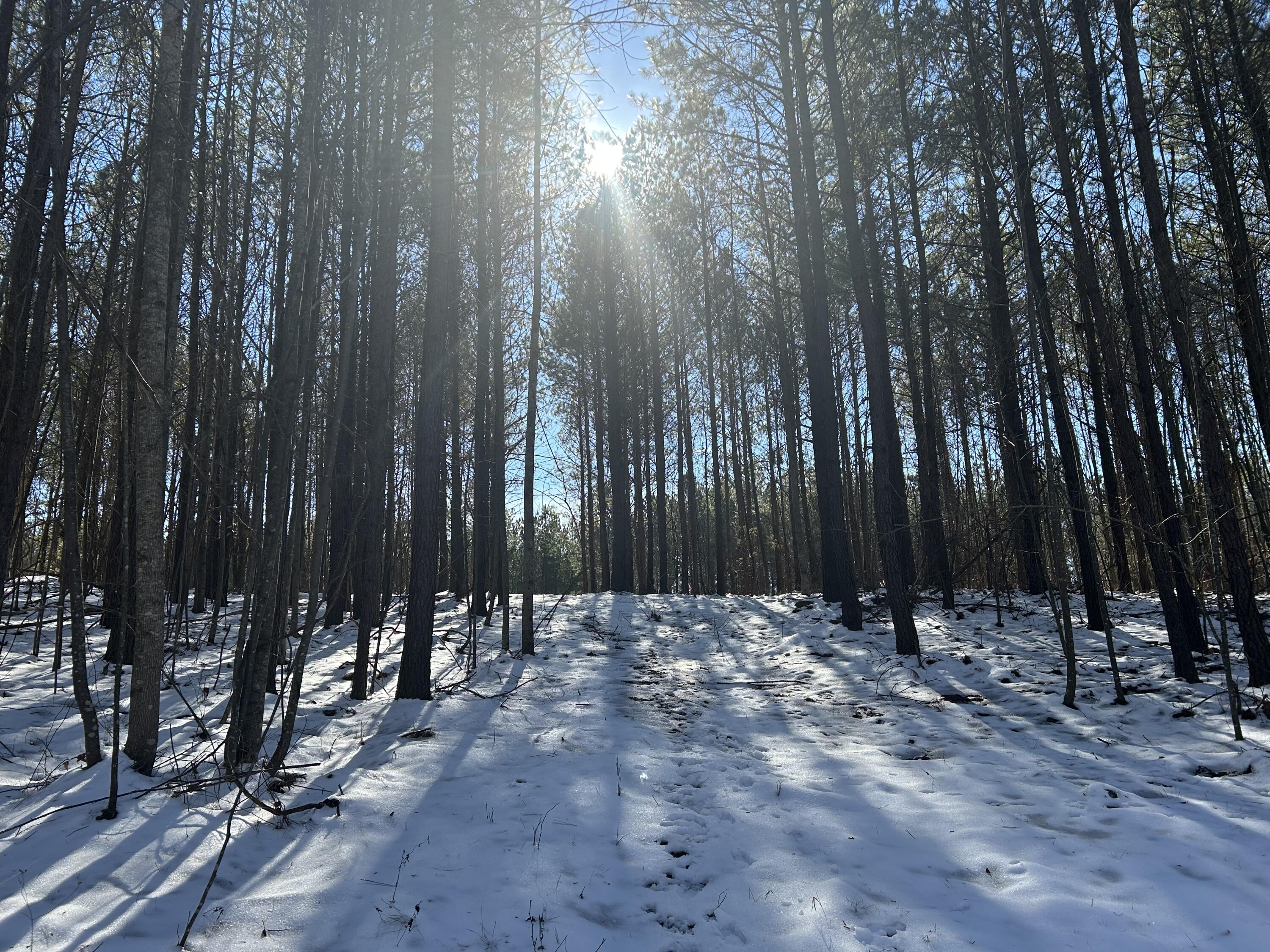 320 Waterwheel Way, Unit JF338 Jasper, TN 37347 - Photo 7 of 25 IMG_7260