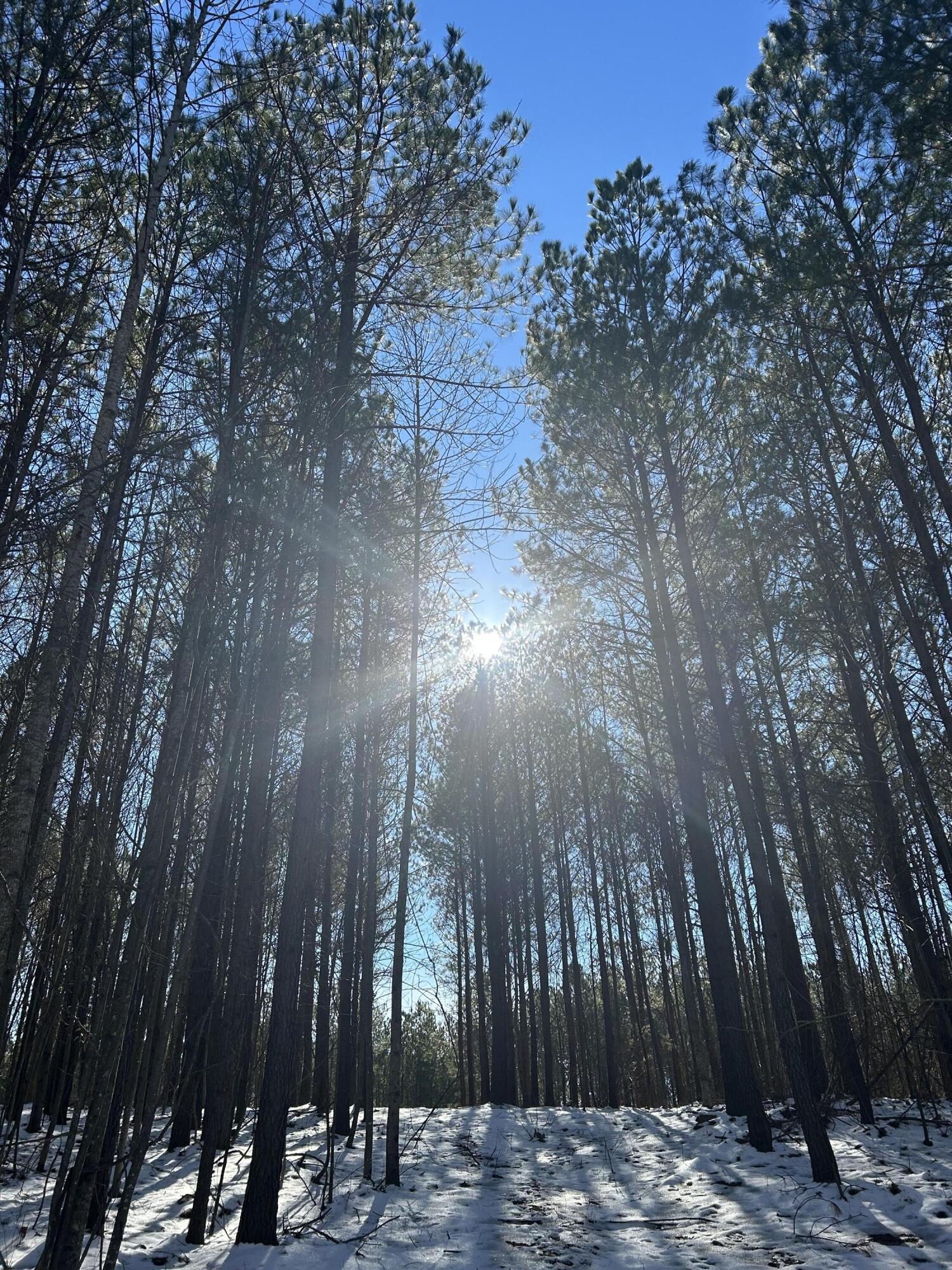 320 Waterwheel Way, Unit JF338 Jasper, TN 37347 - Photo 9 of 25 IMG_7263