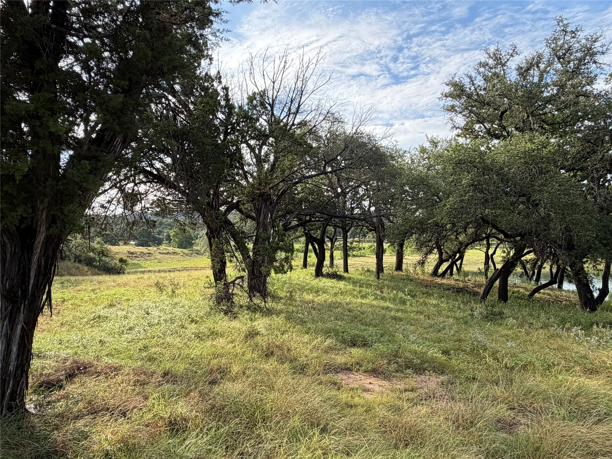 6701 Bar K Ranch Road Lago Vista, TX 78645 - Photo 5 of 15 Partially cleared corner lot dotted with mature trees, offers a serene natural setting.