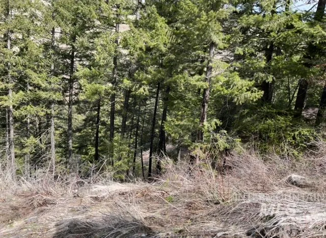 $42,900 | 129 Anatone Wa 99401, Anatone, WA 99401