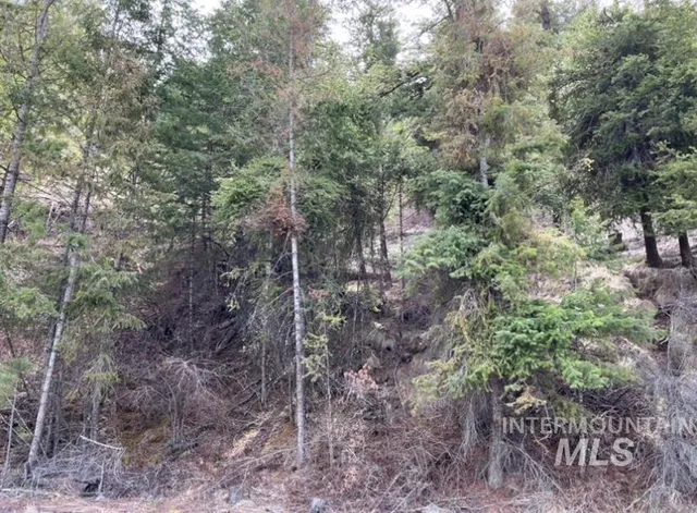 $42,900 | 129 Anatone Wa 99401, Anatone, WA 99401