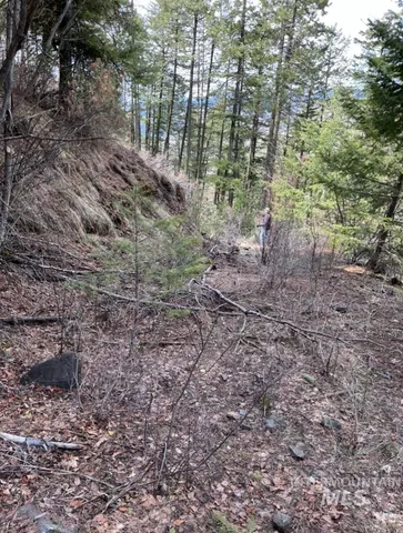 $42,900 | 129 Anatone Wa 99401, Anatone, WA 99401