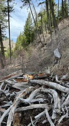 $42,900 | 129 Anatone Wa 99401, Anatone, WA 99401