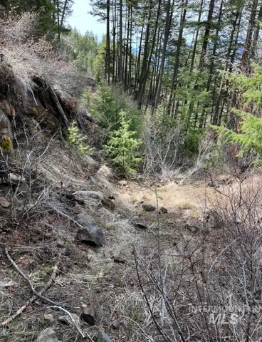 $42,900 | 129 Anatone Wa 99401, Anatone, WA 99401