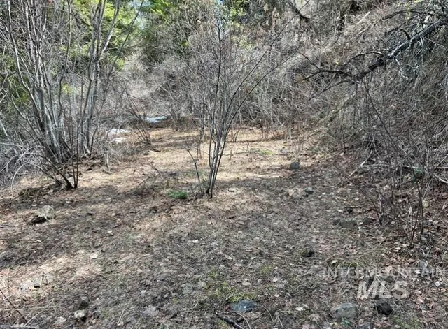 $42,900 | 129 Anatone Wa 99401, Anatone, WA 99401