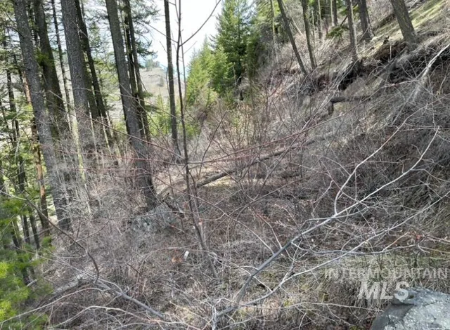 $42,900 | 129 Anatone Wa 99401, Anatone, WA 99401