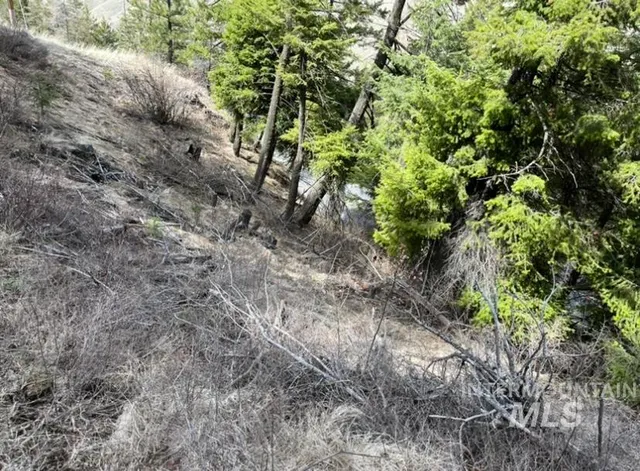 $42,900 | 129 Anatone Wa 99401, Anatone, WA 99401