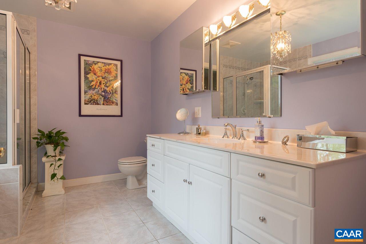 680 Broad Axe Road Charlottesville, VA 22903 - Photo 9 of 19 a bathroom with a granite countertop sink a toilet and a mirror