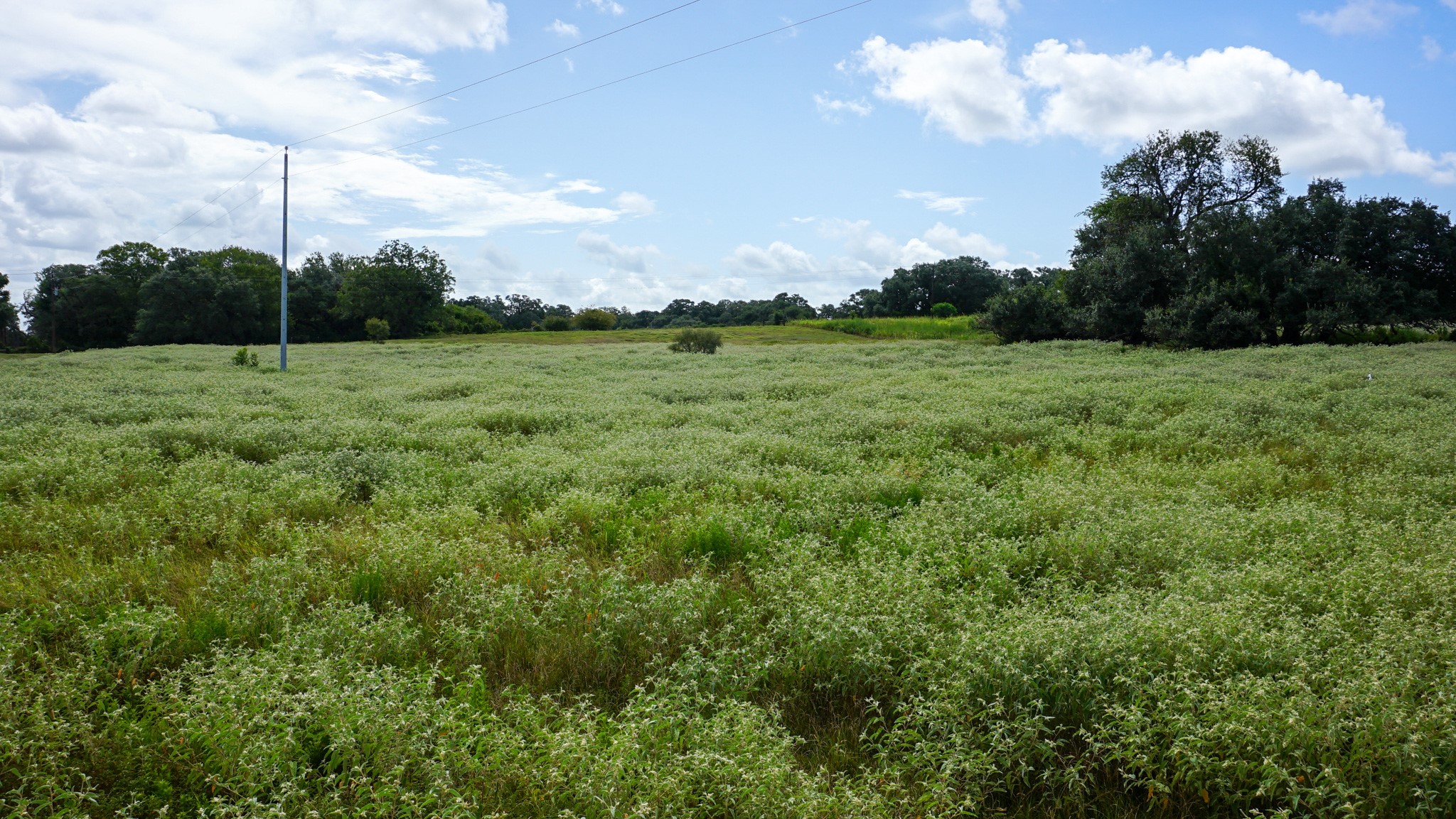 0 Hranicky Road Schulenburg, TX 78956 - Photo 7 of 10 Gallery Image 7