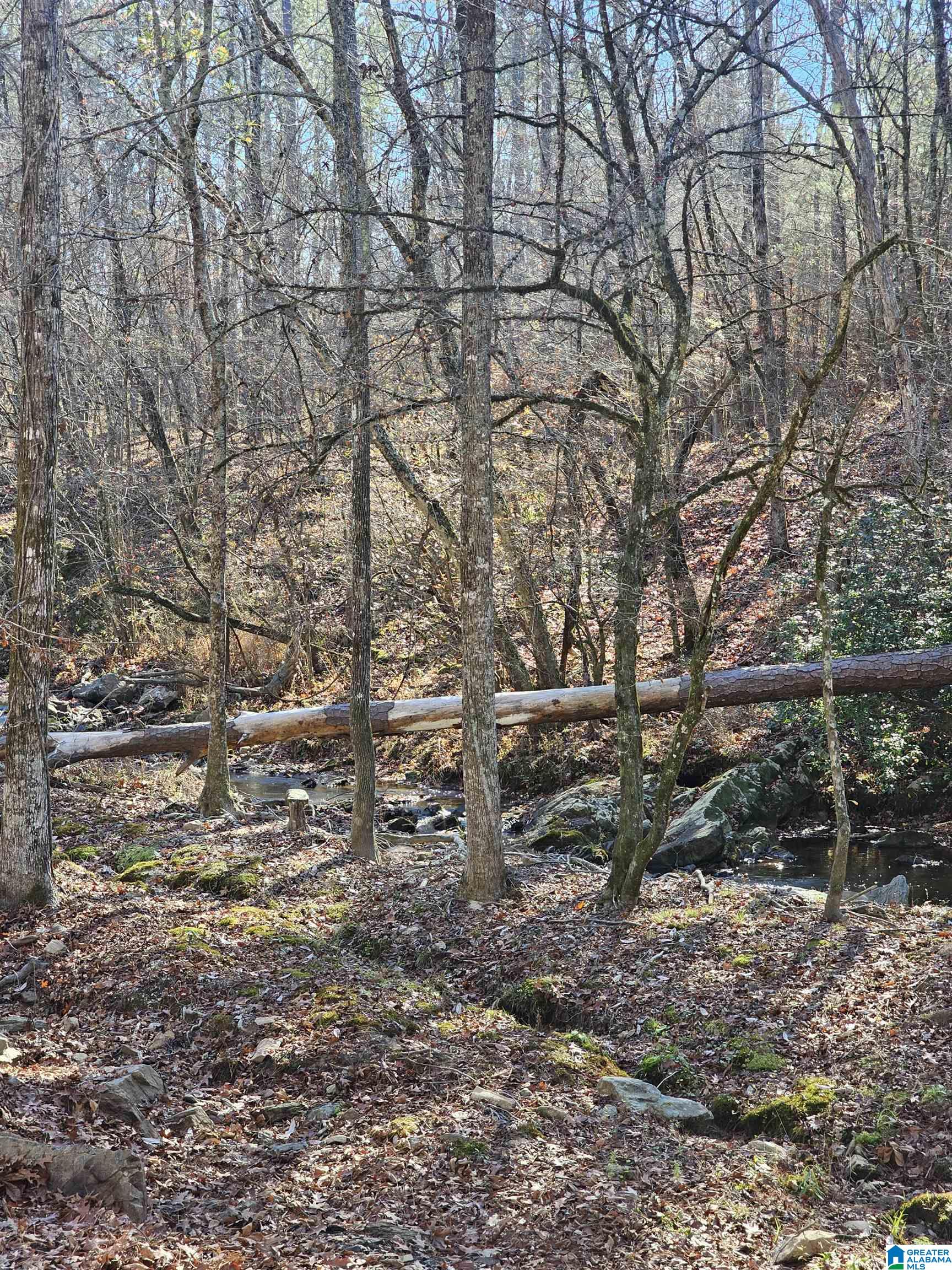 165 Joe's Fish Camp Road Titus, AL 36080 - Photo 35 of 35 Gallery Image 35