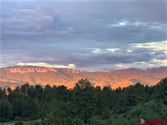 1254 Marmot Drive Ridgway, CO 81432 - Photo 1 of 34 a view of sunset