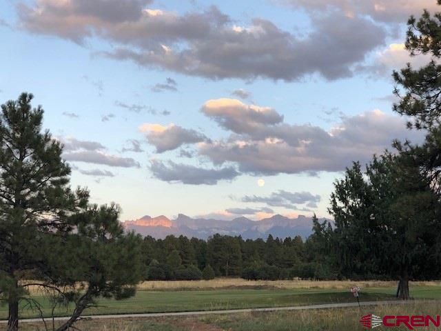 1254 Marmot Drive Ridgway, CO 81432 - Photo 12 of 34 a view of a city