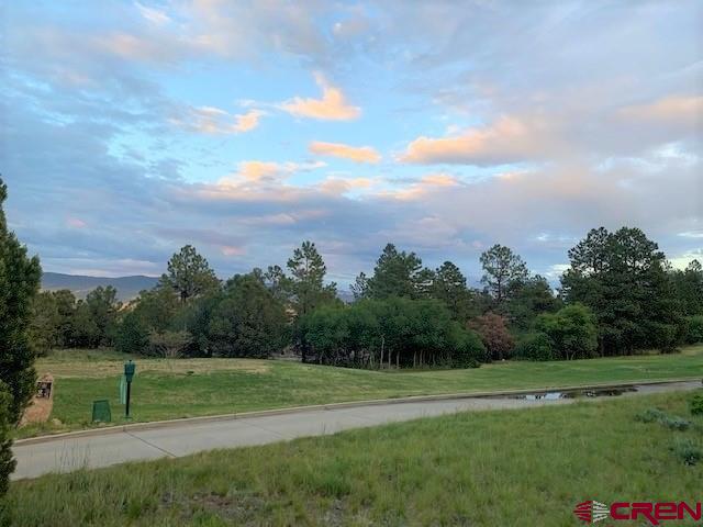 1254 Marmot Drive Ridgway, CO 81432 - Photo 15 of 34 a view of field with tall trees