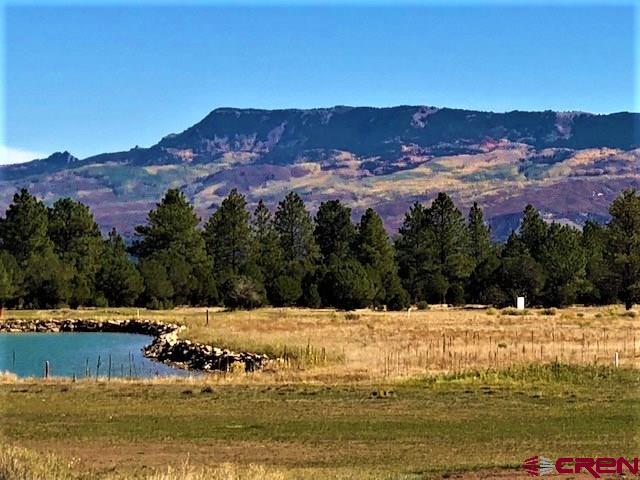 1254 Marmot Drive Ridgway, CO 81432 - Photo 20 of 34 a view of a town with mountains in the background