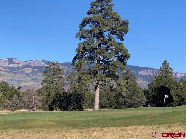 1254 Marmot Drive Ridgway, CO 81432 - Photo 3 of 34 a view of a golf course