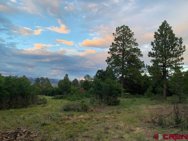 1254 Marmot Drive Ridgway, CO 81432 - Photo 33 of 34 a view of a field with trees in background